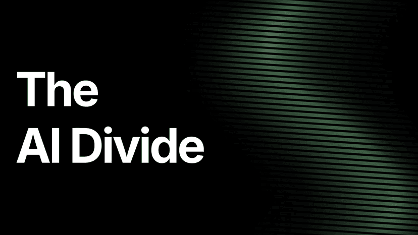 The AI Divide